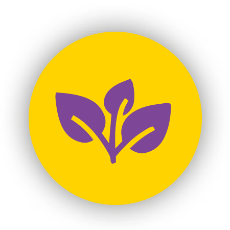 Icon einer Pflanze mit drei Blättern in violett vor einem gelben Hintergrund